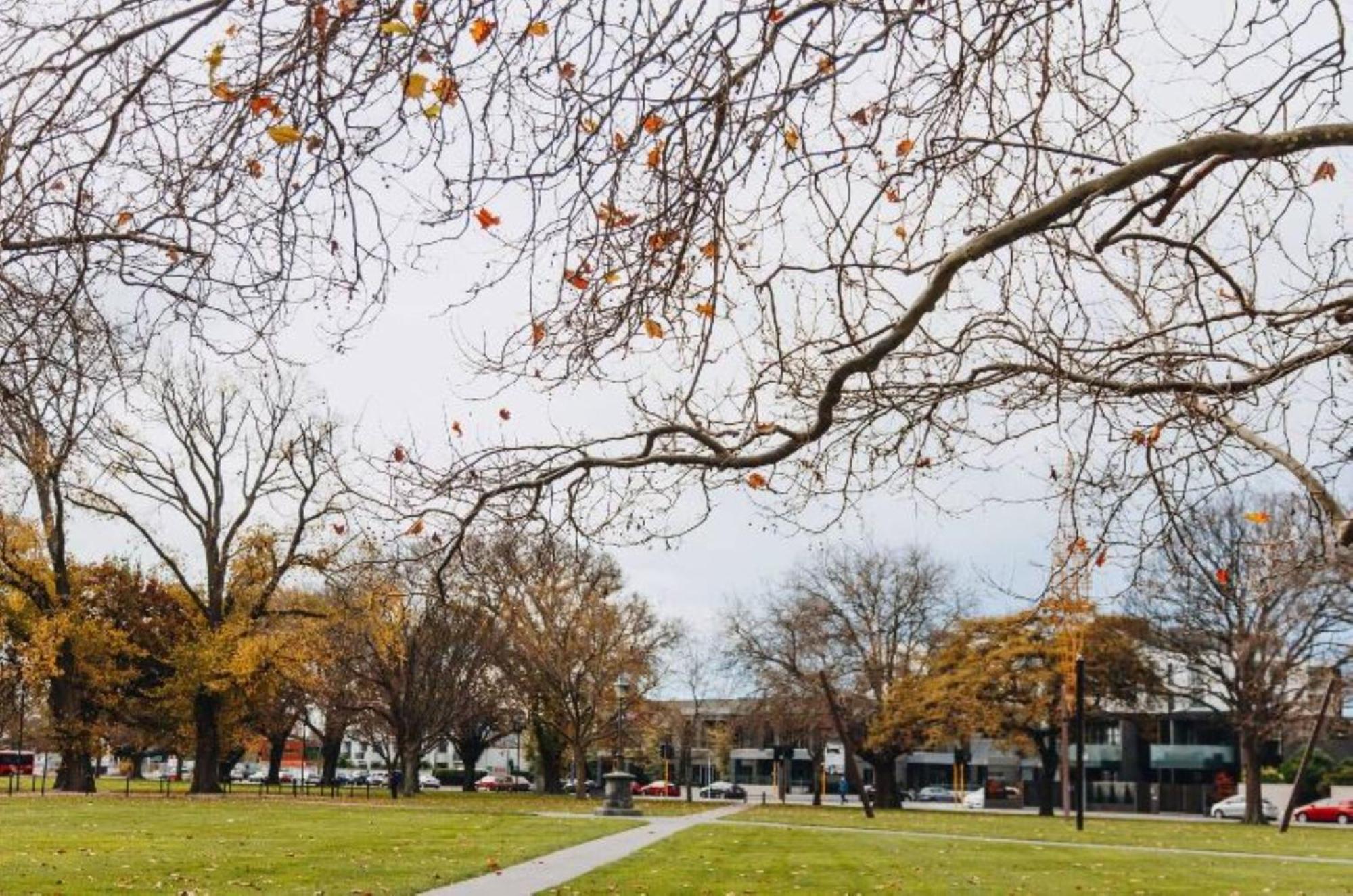 Inner City Delight Walk To Cathedral Square Christchurch Exteriér fotografie